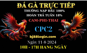 Trục tiếp đá gà CPC2 ngày 11-8-2024