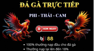 xem trực tiếp đá gà ngày 20-08-2024