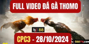 BJ88 đá gà bồ C3 ngày 28/10/2024